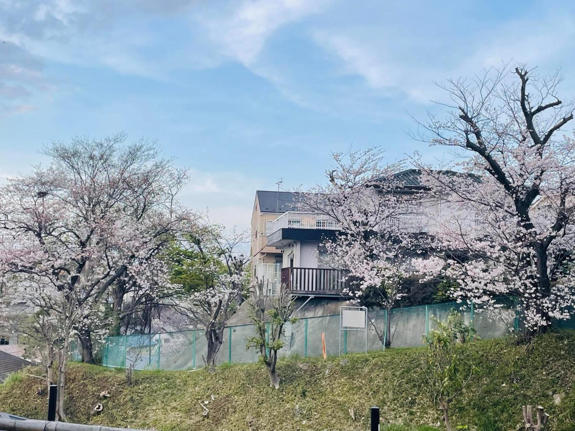 Hotel ソフィアハウス横浜 -女性専用シェアハウス- Sopfia House Yokohama For Women Only Shared House Exteriér fotografie